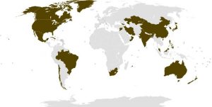 ebu_associatedmembers_map